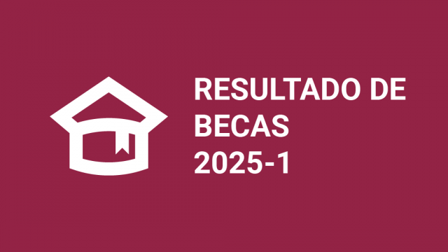 Resultado 2025-01