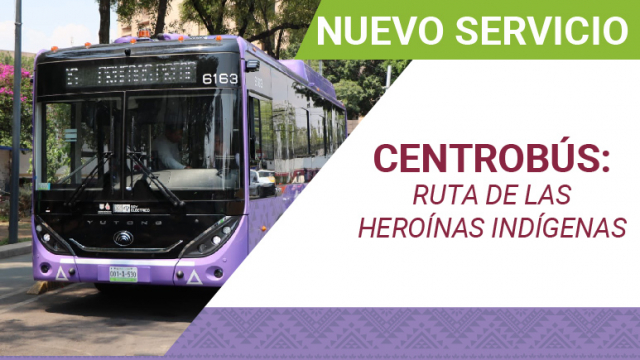 NUEVO SERVICIO